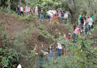 Camiantas en el bosque